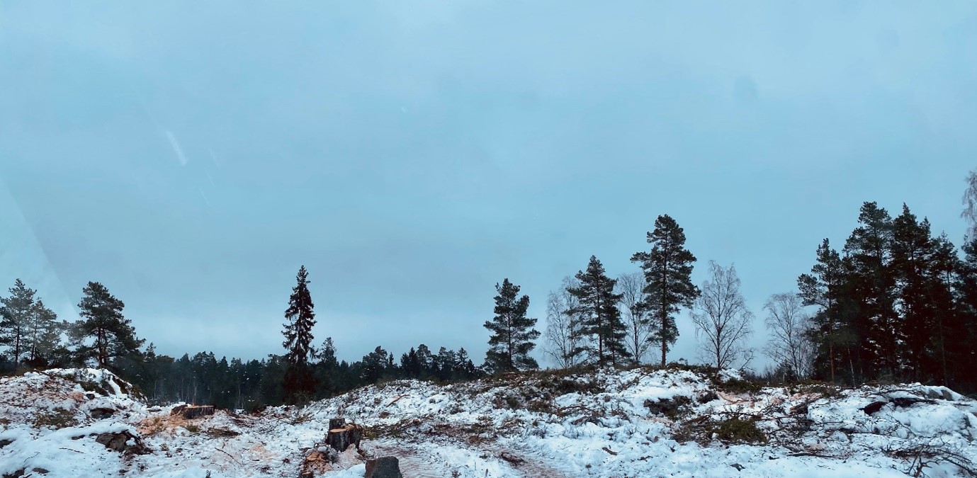 lån-3518-Bild1